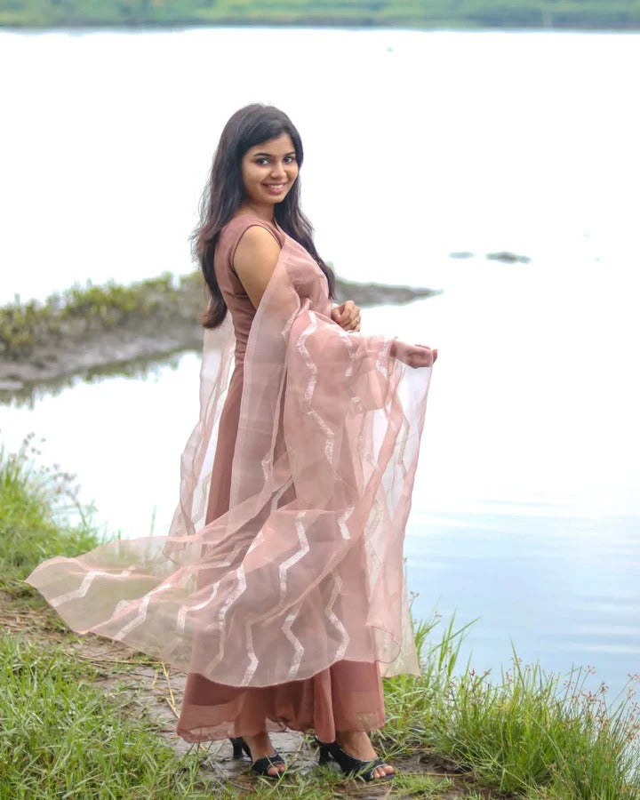 Designer Blush Pink Long Dress Modern Fashion for Women