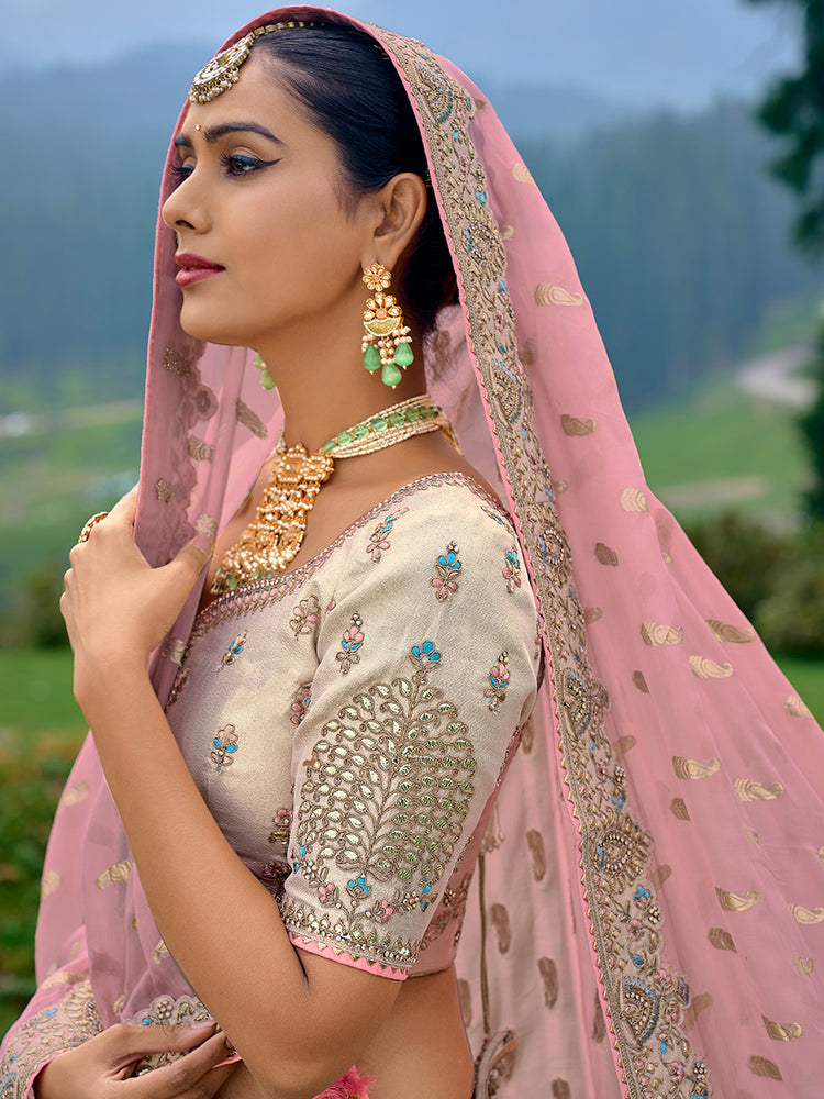 Pastel Multicolor Panel Embroidered Lehenga Set