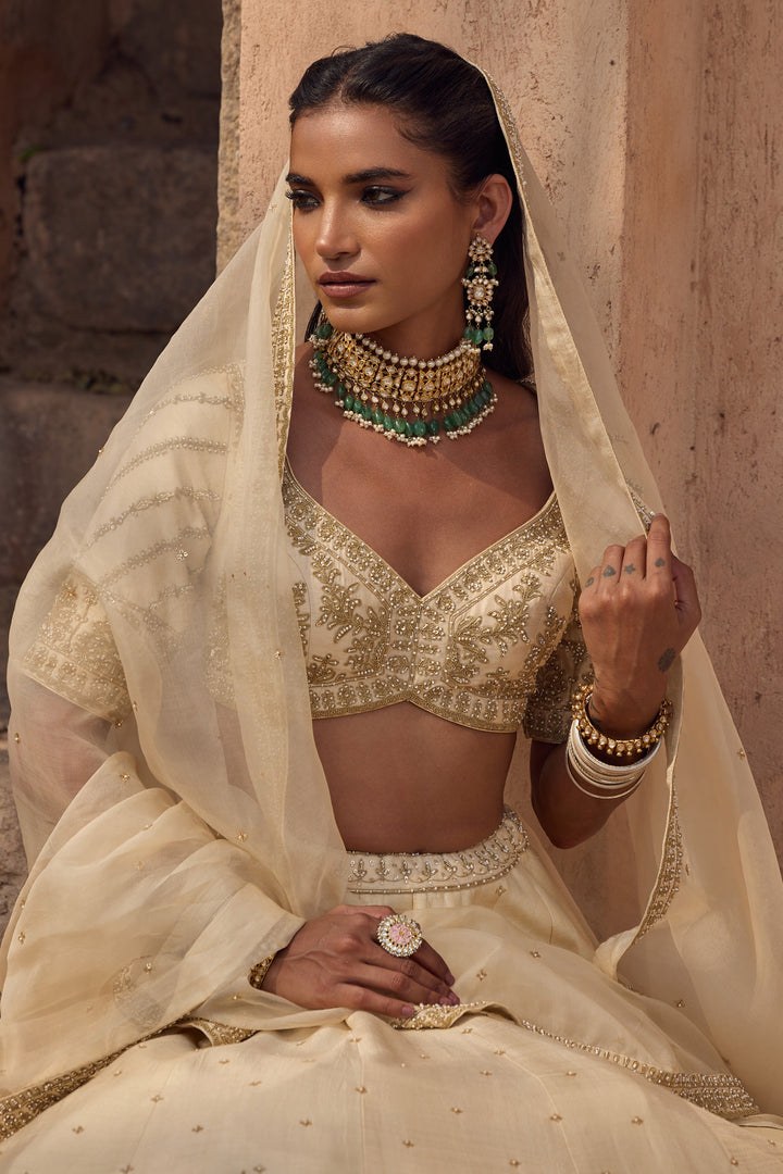 Stylish Beige Wedding Lehenga for Women