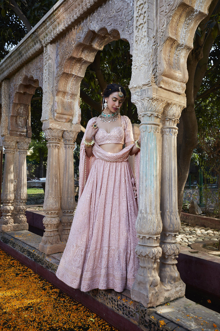 Premium Blush Pink Ethnic Lehenga for Women
