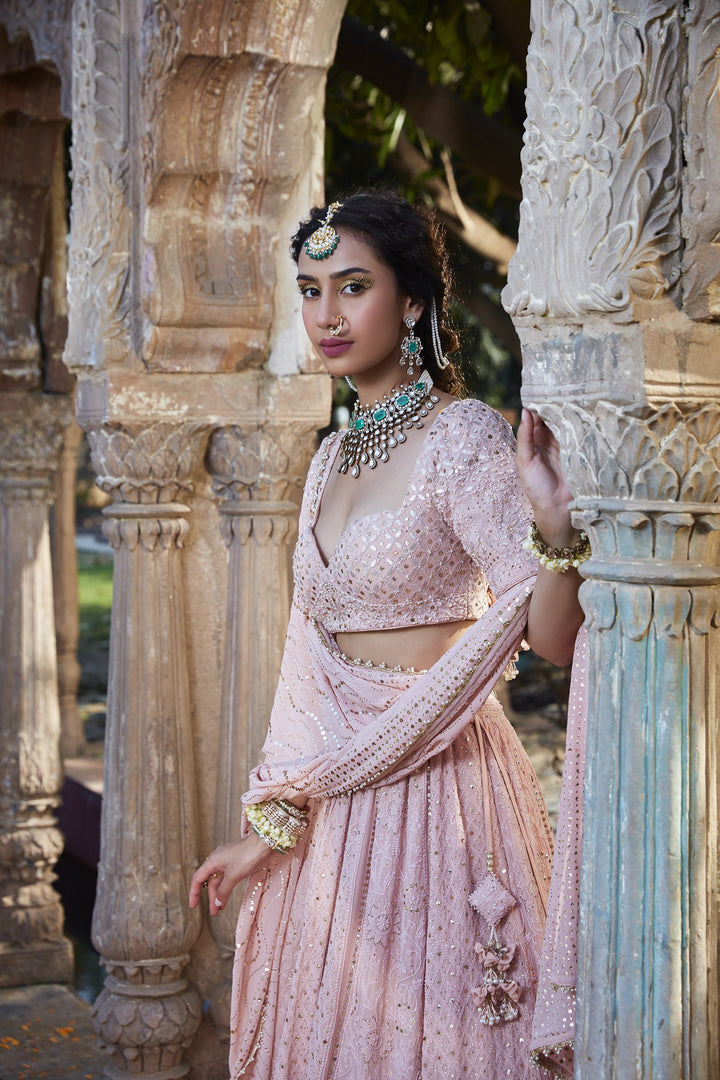 Premium Blush Pink Ethnic Lehenga for Women
