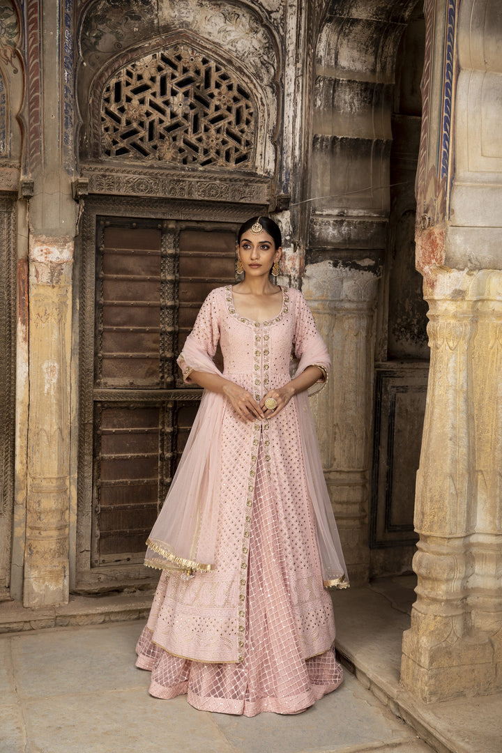 Designer Blush Pink Ethnic Lehenga for Women Premium Traditional Fashion