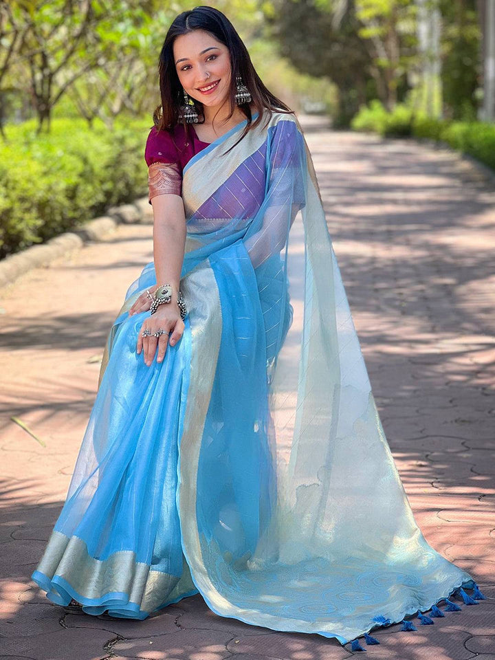 Sky Blue Organza Saree with Gold Zari Border & Subtle Woven Design