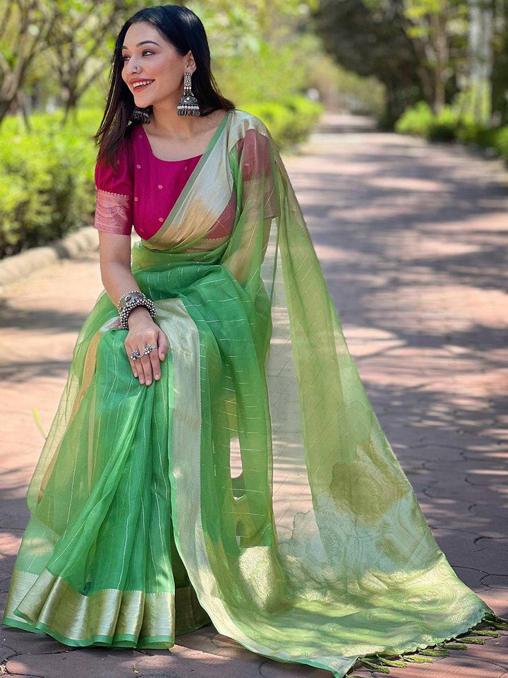 Light Green Soft Organza Saree with Golden Zari Border & Contrast Pink Blouse